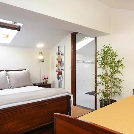 Stupendo Sun & 3br Ffoz Airconditionning Center Apartment *